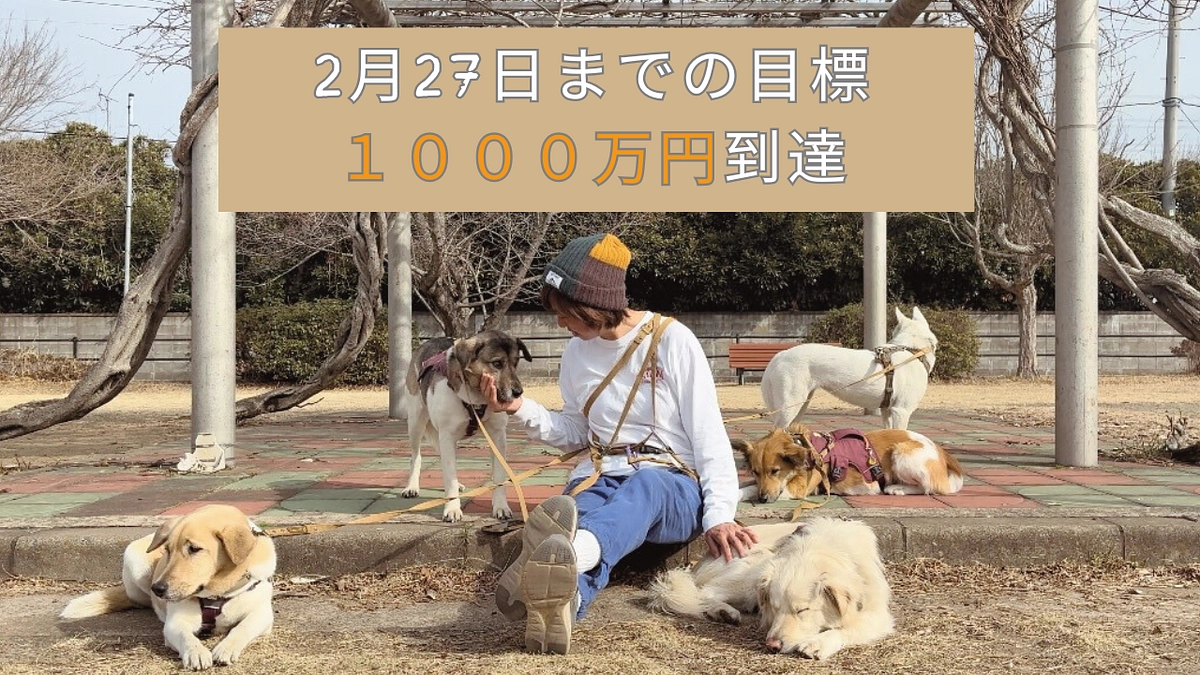 【1000万円】まで到達しました！  