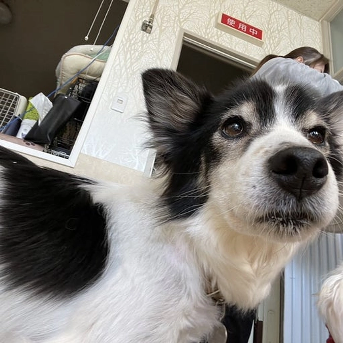 【クラウドファンディング】工事完了しました！ 