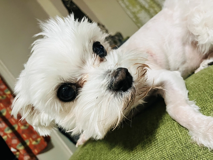 退院後、初検査