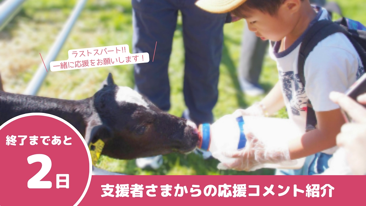 残り【2日】（いただいた応援メッセージのご紹介）