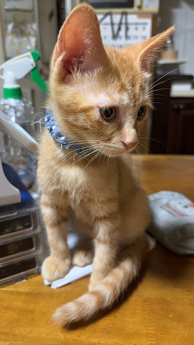 8/19目標に達成しました！㊗️