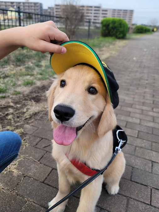 無事達成いたしました！本当にありがとうございます❕