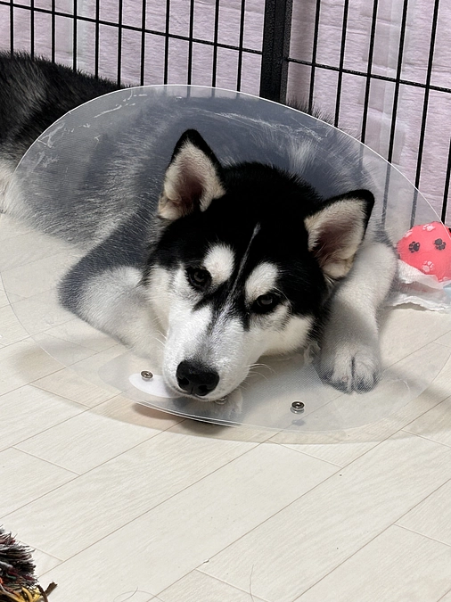 終了報告について