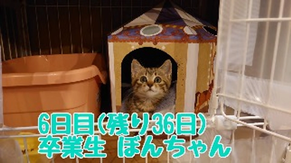 6日目 卒業生ぼんちゃんのお話。