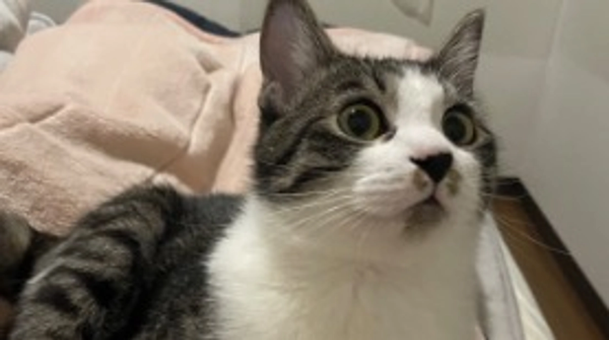 今日は検診に行ってきました