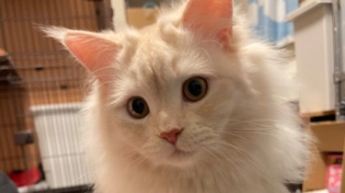 今日のトキ⛄️☀️