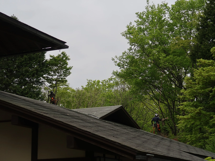 【庭園整備】完了のご報告