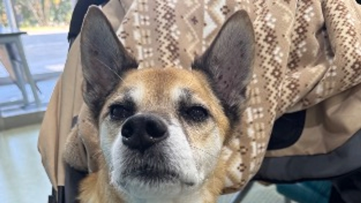 12/9   ☢️放射線治療6回目☢️