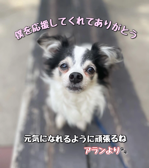 皆様のおかげで達成することができました‼️