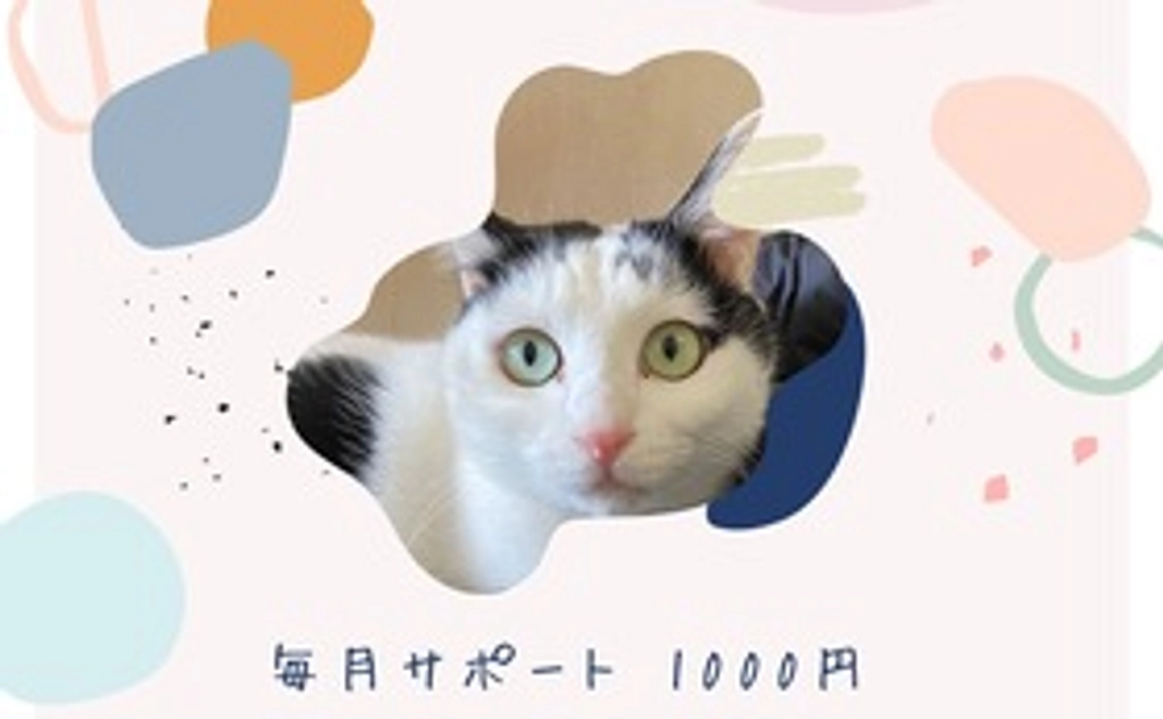 毎月サポート1000円
