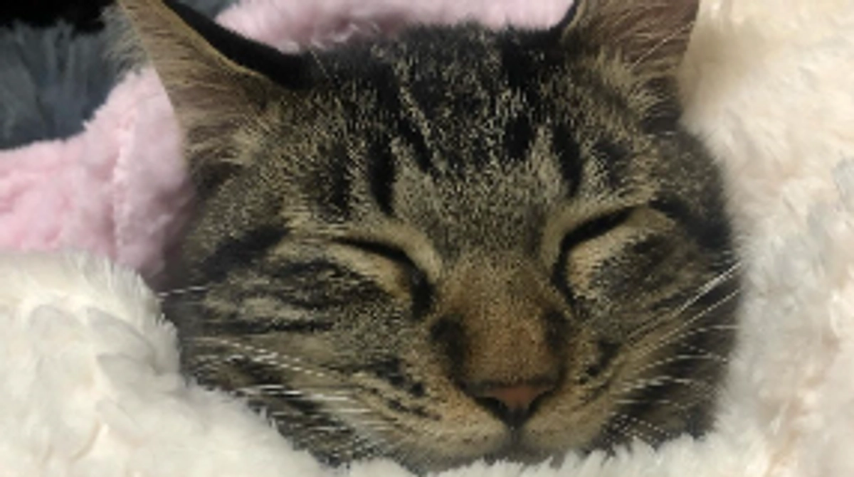 インスタ&Twitter/Xはじめました！