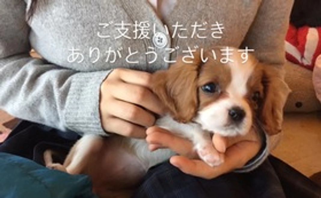 モナ応援コース①