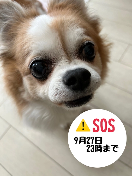 9月2日  現状報告