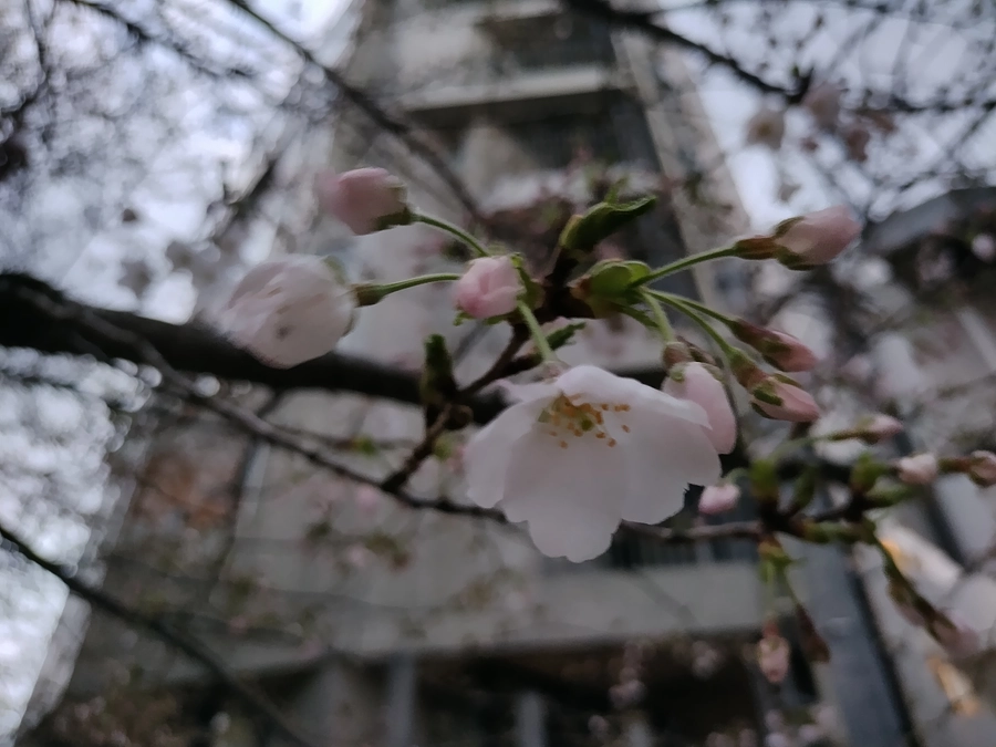 #18.その後の進捗について④