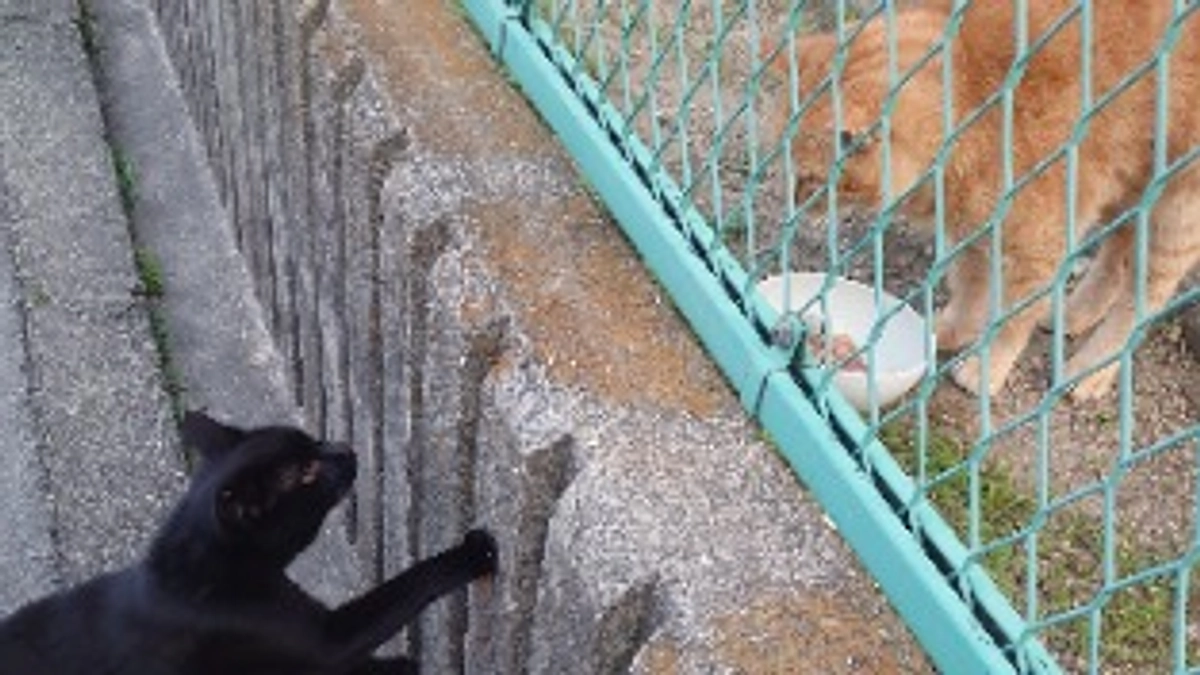 暖かい贈り物が届きました。