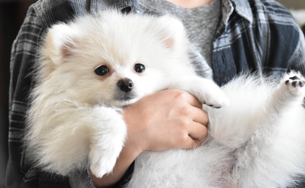 感謝のメール&活動報告 ¥3000