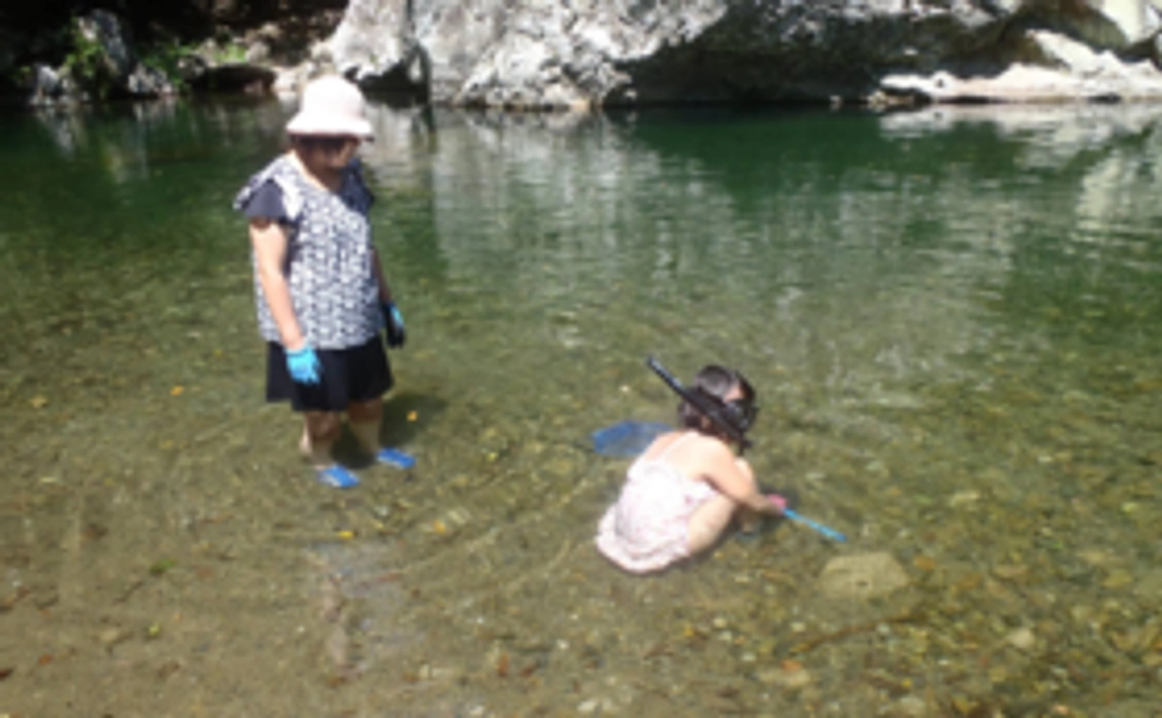 ミニ応援プラン