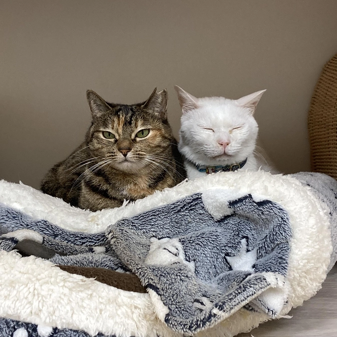 11月になりました！