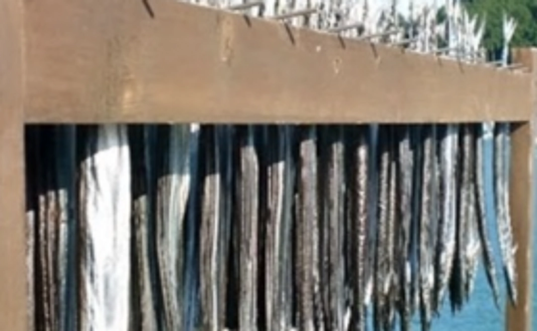 遠方の方向け～浦神全力応援プラン