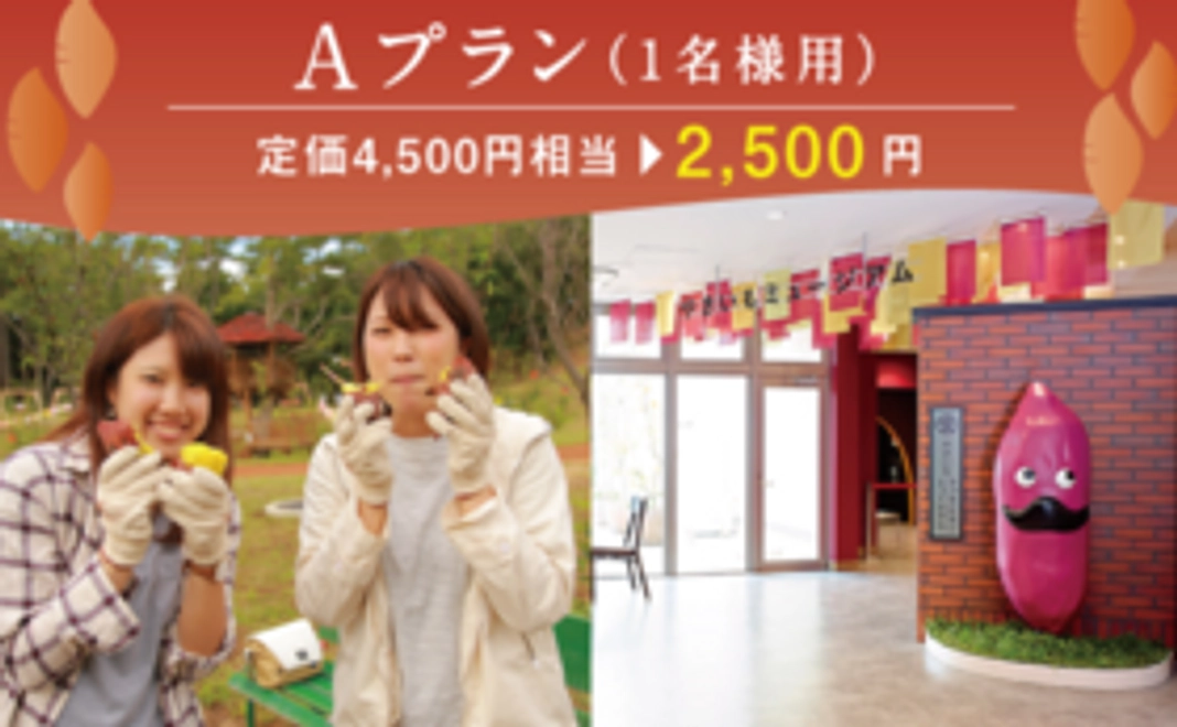 【定価4500円相当が2500円！】世界一のいも掘り参加プラン（1名様用）