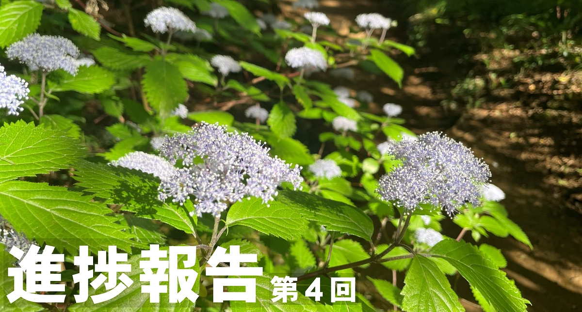 第一目標達成の御礼と今後の挑戦について