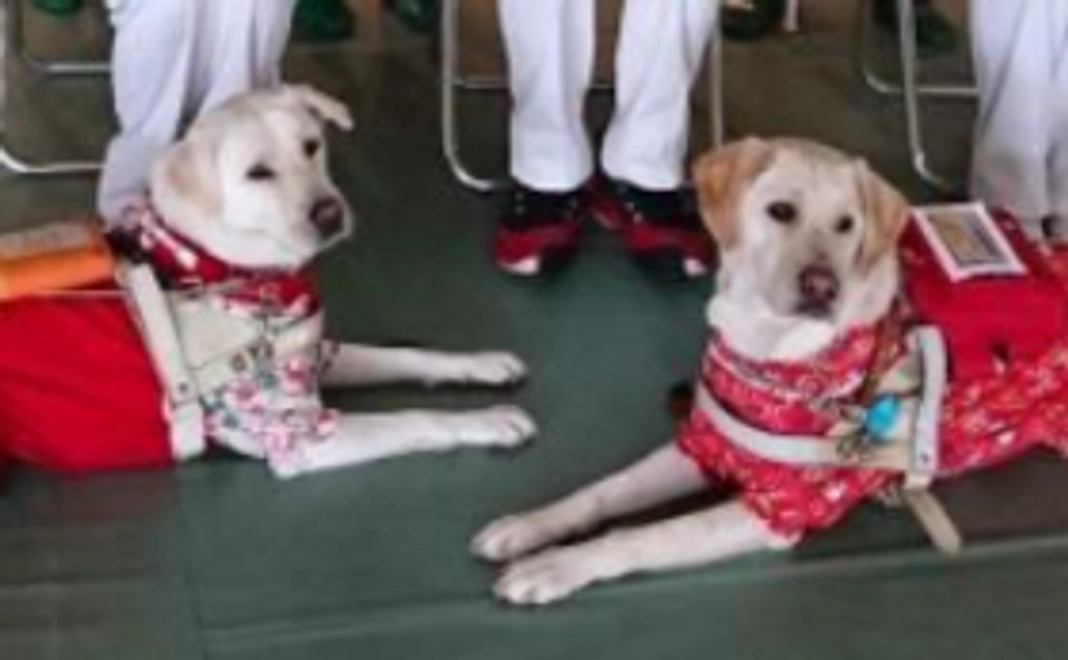 プロジェクト全力応援プラン