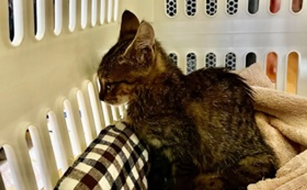 御支援ありがとうございます‼︎①