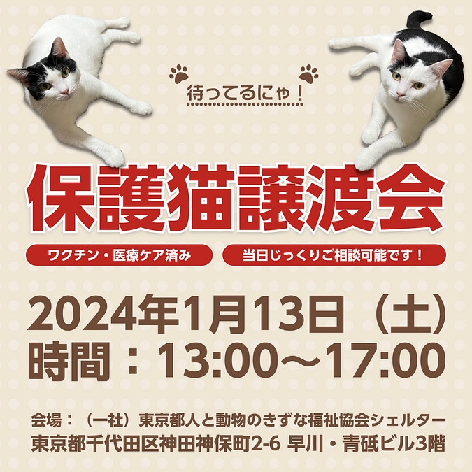 1月13日（土）、第24回保護猫譲渡会　開催のお知らせ