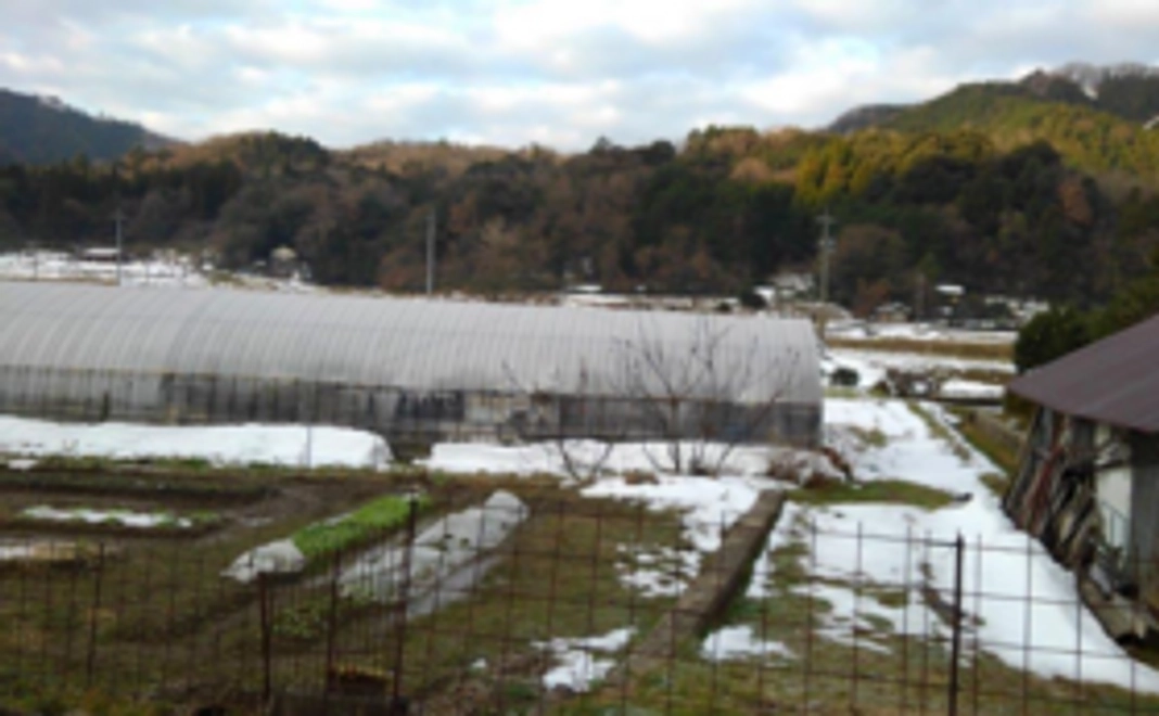 お楽しみBOXプレゼント＆ご利用者さんの感謝の一言