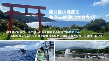 世界遺産屋久島の水産業復活に向けて、活魚蓄養施設を作りたい のトップ画像