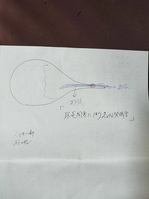 ディランの為にご支援・ご協力を下さいました皆さまへ ご報告