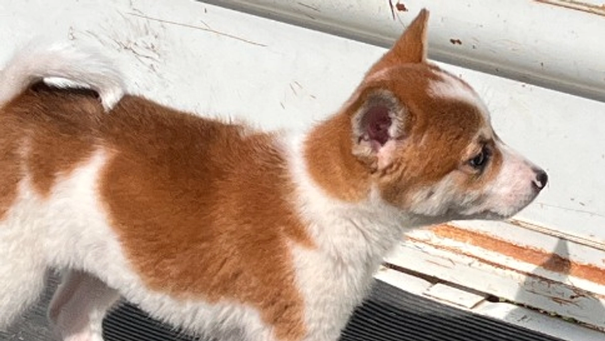 まさかの出来事が起こりました