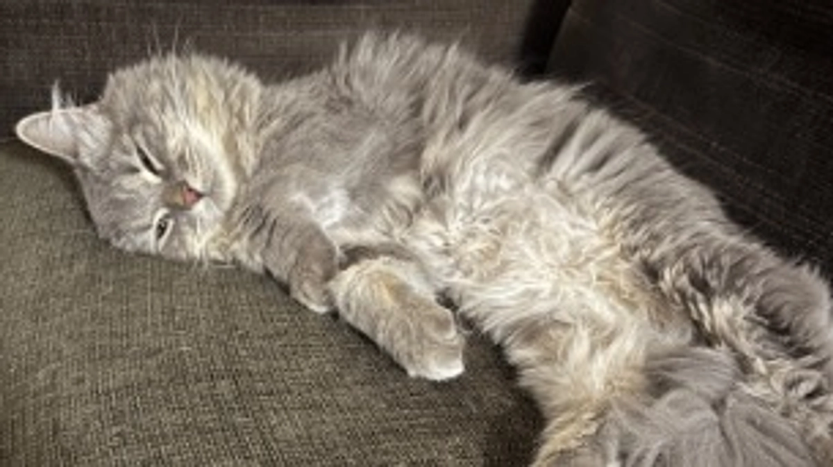 闘病53日目　病院受診日