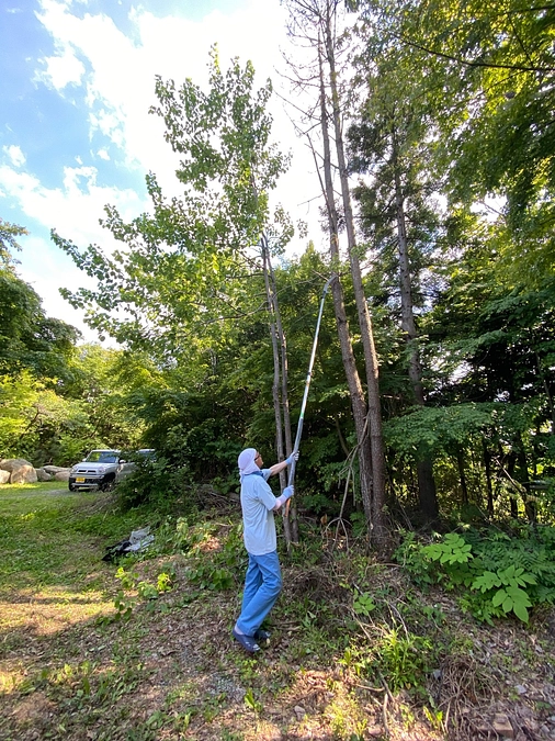 本日も、沢山のご支援ありがとうございます。庭木のお手入れのお手伝いをしました。