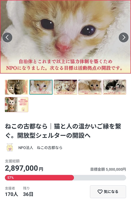 もうすぐ３００万❣️仲間たちからの応援メッセージリレー