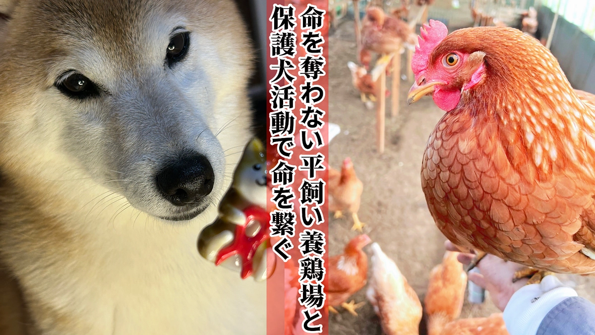 ありがとうございます。