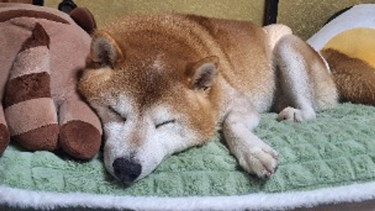 あと、2時間きってしまいました❗