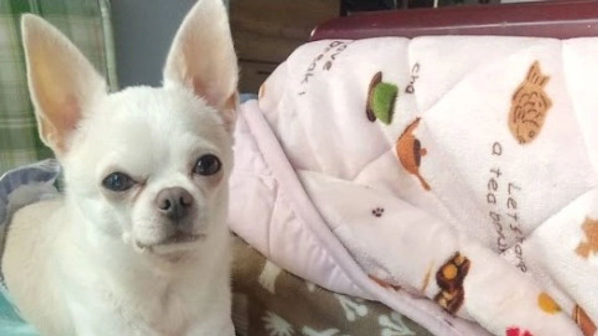 ついに１００名様のご支援が届きました！