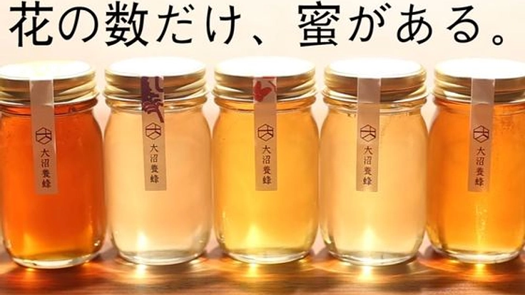 ミツバチを守り、繁殖させることで、果樹王国・山形を支えたい！