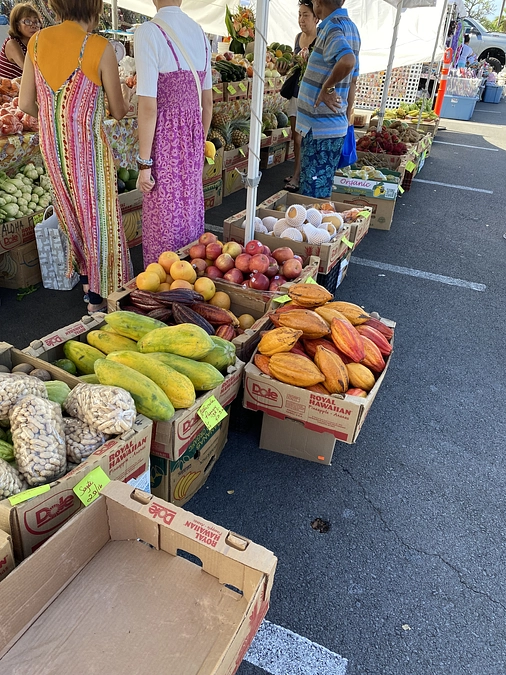 ファーマーズマーケット👩🏻‍🌾🌺🤙