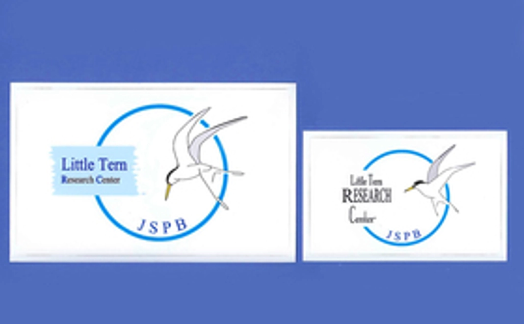 コアジサシのステッカー（Little Tern Research Center）