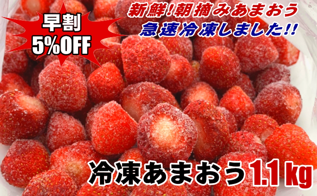 【早割】朝摘み新鮮冷凍あまおう(丸ごと)約1.1kg