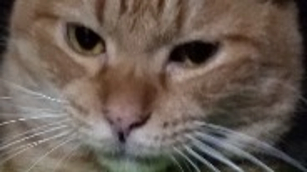 80%達成できました。