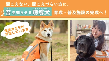 完成目前、ふじみ野市に聴導犬の育成・普及推進施設を建設したい！