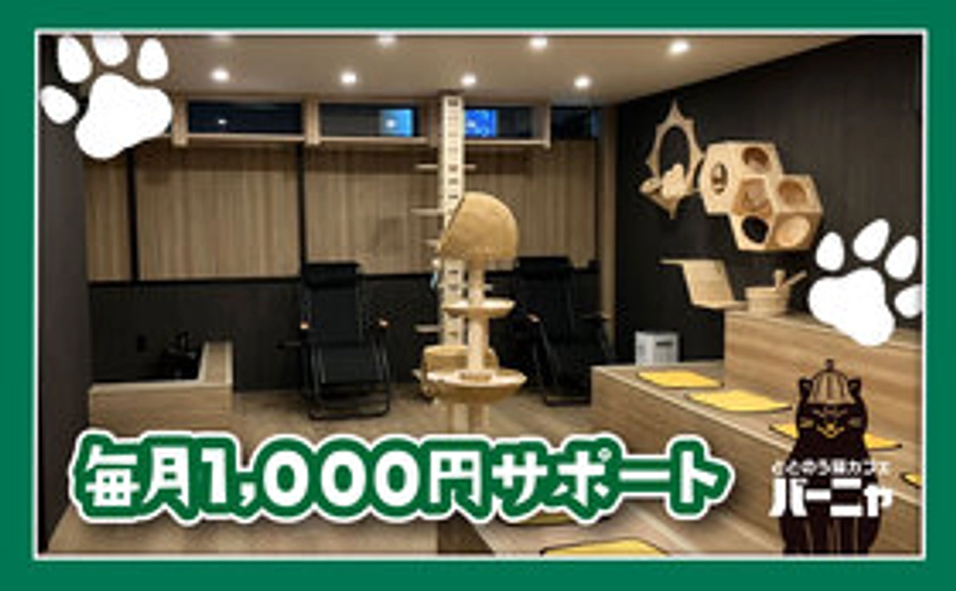 猫のご飯5日分相当ご支援(1匹分)