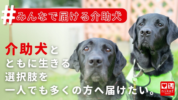 #みんなで届ける介助犬｜今年も目標＋2頭！介助犬と生きる選択肢を