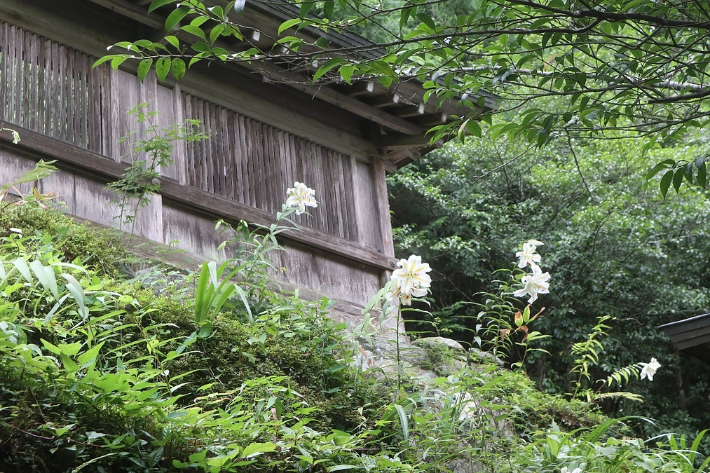 ご支援目標８５％達成いたしました！