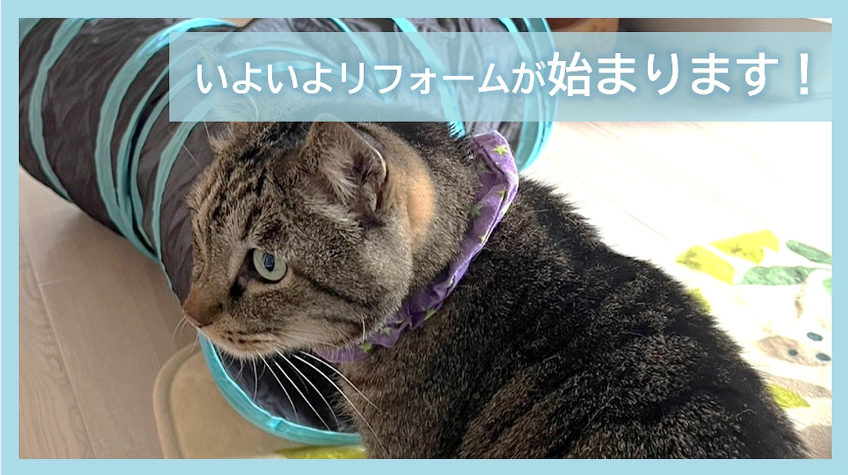 いよいよリフォームが始まります！