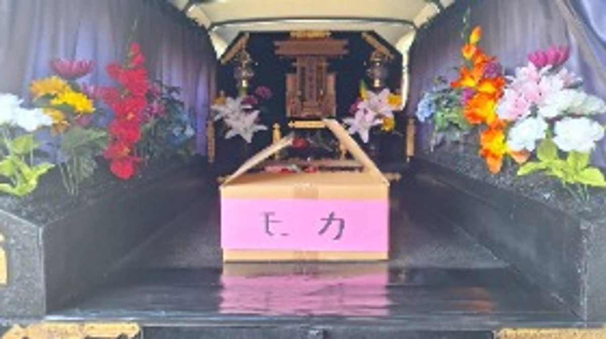 モカのお見送り