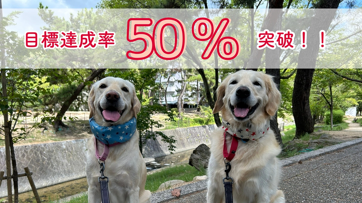 【50％突破】たくさんのご支援・応援、ありがとうございます！